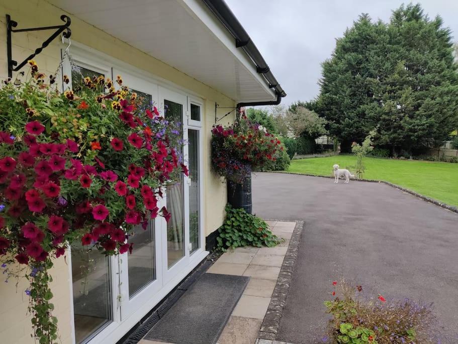 The Nook Located In A Beautiful Garden Setting With Parking Villa Stratford-upon-Avon Exterior photo